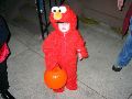 IMG_1979.JPG